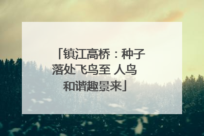 镇江高桥：种子落处飞鸟至 人鸟和谐趣景来