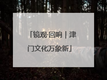 镜观·回响｜津门文化万象新
