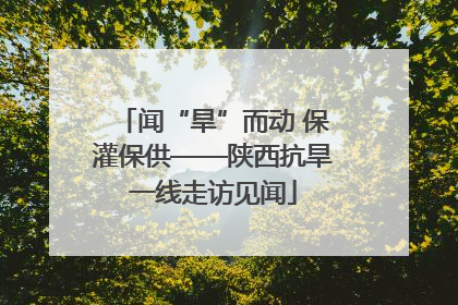 闻“旱”而动 保灌保供——陕西抗旱一线走访见闻