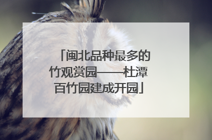 闽北品种最多的竹观赏园——杜潭百竹园建成开园