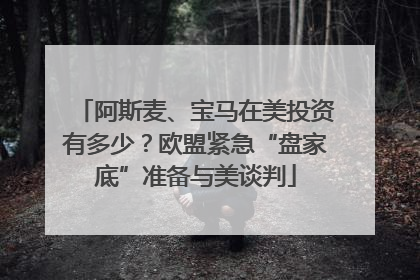 阿斯麦、宝马在美投资有多少？欧盟紧急“盘家底”准备与美谈判