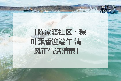 陈家渡社区：粽叶飘香迎端午 清风正气话清廉