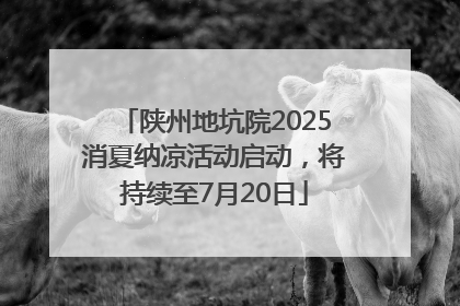 陕州地坑院2025消夏纳凉活动启动，将持续至7月20日