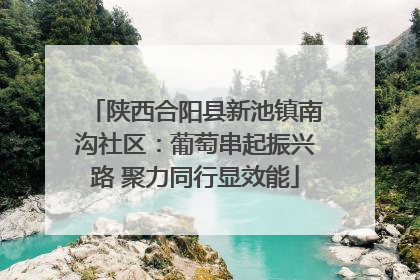 陕西合阳县新池镇南沟社区：葡萄串起振兴路 聚力同行显效能