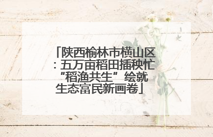 陕西榆林市横山区：五万亩稻田插秧忙 “稻渔共生”绘就生态富民新画卷