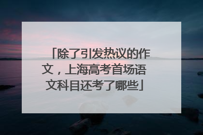 除了引发热议的作文，上海高考首场语文科目还考了哪些
