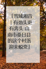 雪域湘音｜有劲头更有奔头 山南市桑日县的这个村落迎来蜕变