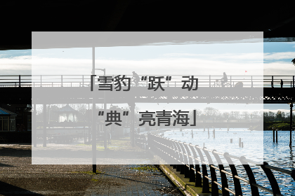 雪豹“跃”动 “典”亮青海