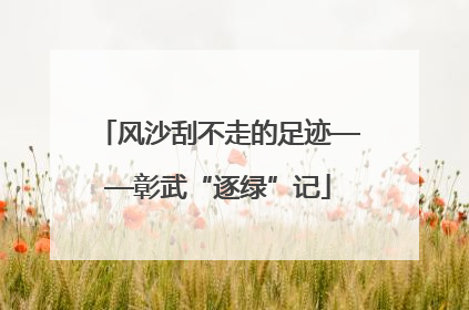 风沙刮不走的足迹——彰武“逐绿”记