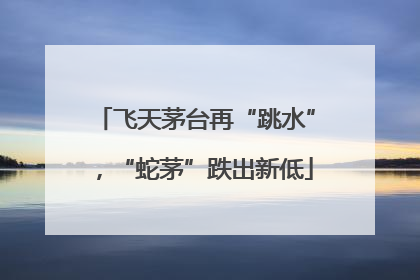 飞天茅台再“跳水”，“蛇茅”跌出新低