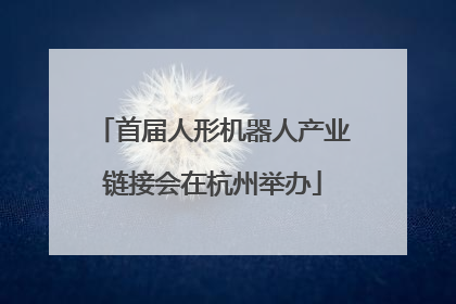 首届人形机器人产业链接会在杭州举办