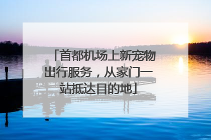 首都机场上新宠物出行服务，从家门一站抵达目的地