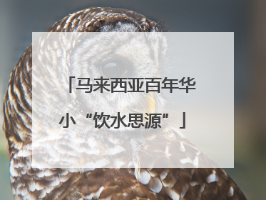 马来西亚百年华小“饮水思源”