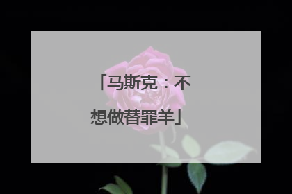 马斯克：不想做替罪羊