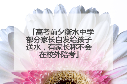 高考前夕衡水中学部分家长自发给孩子送水，有家长称不会在校外陪考