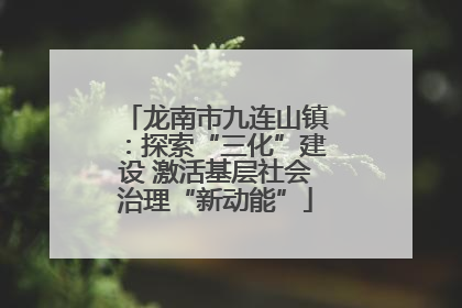龙南市九连山镇：探索“三化”建设 激活基层社会治理“新动能”