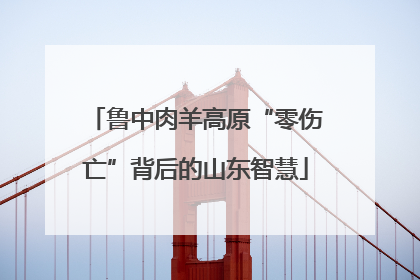 鲁中肉羊高原“零伤亡”背后的山东智慧