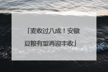 麦收过八成！安徽夏粮有望再迎丰收