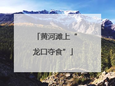 黄河滩上“龙口夺食”
