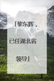 黎东辉，已任湖北省领导