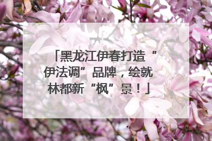 黑龙江伊春打造“伊法调”品牌，绘就林都新“枫”景！