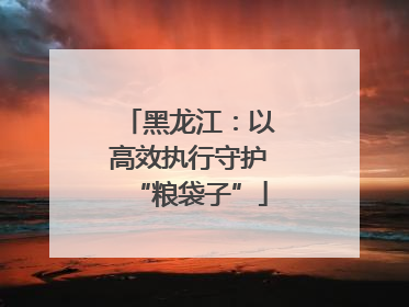 黑龙江：以高效执行守护“粮袋子”
