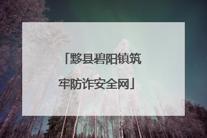 黟县碧阳镇筑牢防诈安全网