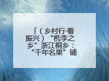 （乡村行·看振兴）“槜李之乡”浙江桐乡：“千年名果”铺就乡村共富路