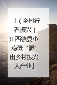 （乡村行·看振兴）江西赣县小鸡蛋“孵”出乡村振兴大产业