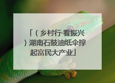 （乡村行·看振兴）湖南石鼓油纸伞撑起富民大产业