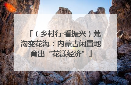 （乡村行·看振兴）荒沟变花海：内蒙古闲置地育出“花漾经济”