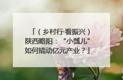 （乡村行·看振兴）陕西略阳：“小瓢儿”如何撬动亿元产业？