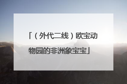 （外代二线）欧宝动物园的非洲象宝宝