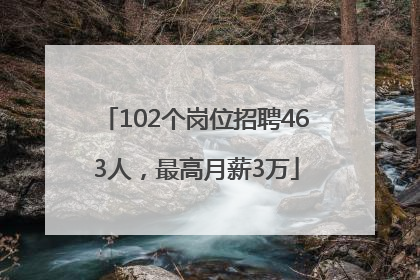 102个岗位招聘463人，最高月薪3万