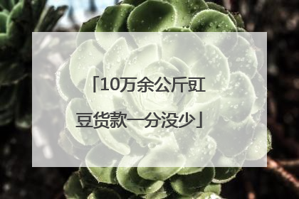 10万余公斤豇豆货款一分没少