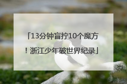 13分钟盲拧10个魔方！浙江少年破世界纪录