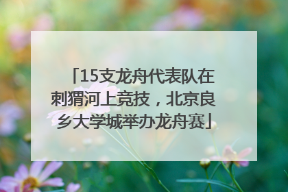15支龙舟代表队在刺猬河上竞技，北京良乡大学城举办龙舟赛