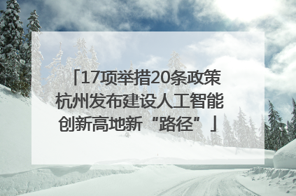 17项举措20条政策 杭州发布建设人工智能创新高地新“路径”