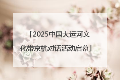 2025中国大运河文化带京杭对话活动启幕