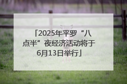 2025年平罗“八点半”夜经济活动将于6月13日举行