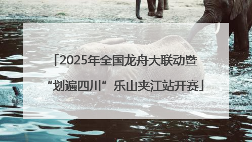 2025年全国龙舟大联动暨“划遍四川”乐山夹江站开赛