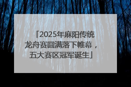 2025年麻阳传统龙舟赛圆满落下帷幕，五大赛区冠军诞生