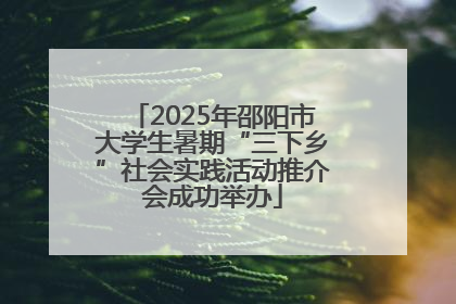 2025年邵阳市大学生暑期“三下乡”社会实践活动推介会成功举办