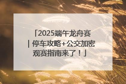2025端午龙舟赛｜停车攻略+公交加密 观赛指南来了！