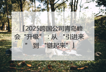 2025跨国公司青岛峰会“升级”：从 “引进来” 到 “链起来”