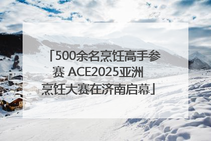 500余名烹饪高手参赛 ACE2025亚洲烹饪大赛在济南启幕