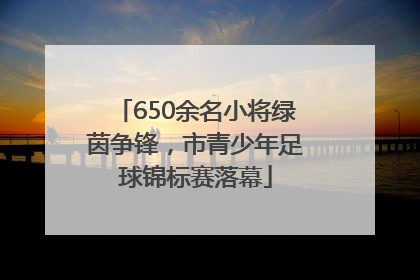 650余名小将绿茵争锋，市青少年足球锦标赛落幕