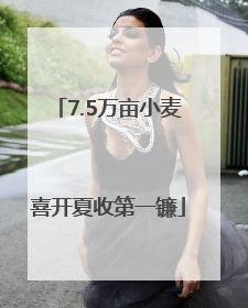 7.5万亩小麦喜开夏收第一镰