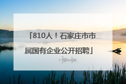810人！石家庄市市属国有企业公开招聘