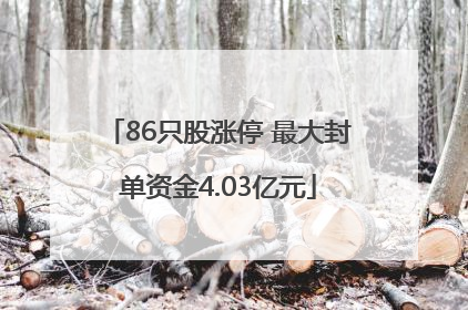 86只股涨停 最大封单资金4.03亿元